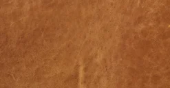 Essex 74" Apartment Sofa -Poly and Bark becd3f36 9e54f2ba b38c 4338 ab12 7ea50097e836 scaled