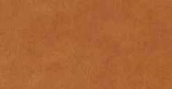 Cadiz 75" Apartment Sofa 17 Cadiz 75" Apartment Sofa -Poly and Bark bpZmmSc3 MzfLzIz0OCFU52rLKkXowDOc0R ejhBCio