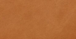 Cadiz Left-facing Sectional Sofa -Poly and Bark ctRgINR7Rt1 9S2usGCNcJATcPShgXBVlAC2UqOksc