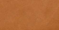 Cadiz Left-facing Sectional Sofa -Poly and Bark ctRgINR7Rt1 9S2usGCNcJATcPShgXBVlAC2UqOksc scaled