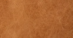 Giza Lounge Chair -Poly and Bark e5329fa7 scaled