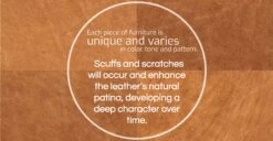 Aida Lounge Chair 30 Aida Lounge Chair -Poly and Bark fourleather TAN refined 01 2f989904 82ac 437a 92e4 0c0adfdedce6