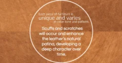 Napa 72" Apartment Sofa 33 Napa 72" Apartment Sofa -Poly and Bark fourleather TAN refined 01 45417a0a 6ebf 4caf 8a1a af5d87b896c8 scaled