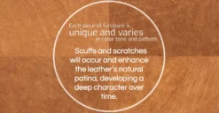 Zyon Sofa -Poly and Bark fourleather TAN refined 01 5ce970d5 9435 44bf 9974 5e174ad7332a scaled