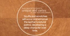 Essex Ottoman -Poly and Bark fourleather TAN refined 01 d0bce9ae 33c8 4a42 918f fb3072ccfb96