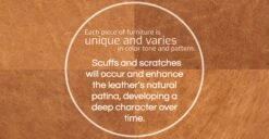 Truro Bed With Leather Cushions 25 Truro Bed With Leather Cushions -Poly and Bark fourleather TAN refined 01 ebd96ff2 fdcb 4007 9361 6d2f7475b6e2