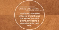 Mateo Leather Sofa 37 Mateo Leather Sofa -Poly and Bark fourleather TAN refined 01 fbd183aa abfd 496a a64d ec9ddbdc742c scaled