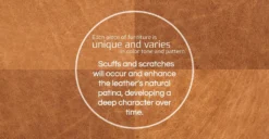 Sorrento Sofa -Poly and Bark fourleather TAN refined 02 c37db1fd 421d 4770 ab1a b0dd1a9c006f scaled