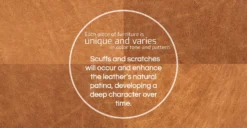 Calle Lounge Chair -Poly and Bark fourleather TAN refined 02 f9fca76f 106e 450d 9c19 52def22bb4ea scaled