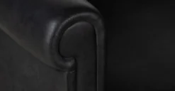 Bruges Lounge Chair -Poly and Bark ksCpI9VcJEU048L0343wk2YHmz2P 8NkR4ND FDKziA scaled