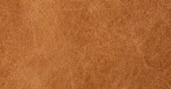 Napa 72" Apartment Sofa 34 Napa 72" Apartment Sofa -Poly and Bark leather 1 8a1e3416 eaa9 4a8c a113 b0ab78376bd5 scaled