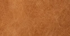 Luca Leather Bench 30 Luca Leather Bench -Poly and Bark leather 1 934a234f 6efb 405e 9205 efc862f4802c