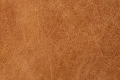 Argan Leather Sofa 36 Argan Leather Sofa -Poly and Bark leather 1 d0174229 1dcf 445f 9c1b 04214f629460