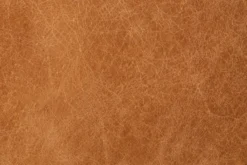 Argan Leather Sofa -Poly and Bark leather 1 d0174229 1dcf 445f 9c1b 04214f629460 scaled