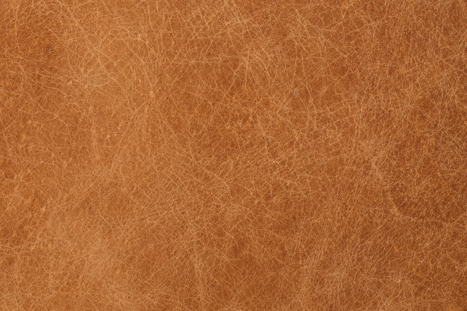 Argan Leather Sofa 17 Argan Leather Sofa - Image 17