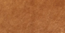 Zyon Sofa -Poly and Bark leather 2 172cfa9f 3d8c 4f85 8790 e18356d645e2 scaled