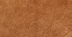 Luca Leather Bench 31 Luca Leather Bench -Poly and Bark leather 2 24b76ef0 ee12 44f0 8cad acee99956c40 scaled