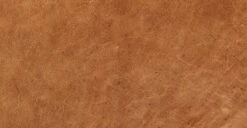 Aida Lounge Chair 32 Aida Lounge Chair -Poly and Bark leather 2 fe0e724f c8a6 4665 a2d8 0a1022560dfc