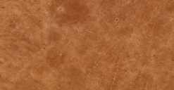 Lyon Lounge Chair -Poly and Bark leather 3 1f11d57f a6ae 4783 9c0f 037f82eed40e scaled