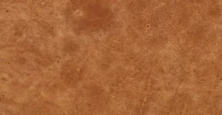 Aida Lounge Chair 33 Aida Lounge Chair -Poly and Bark leather 3 a6835a56 ea9f 41bd 9205 b5341cdf6da2 scaled