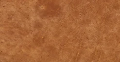 Truro Bed With Leather Cushions -Poly and Bark leather 3 dd3d825b f7dd 411f abff 91015cea4e2a scaled