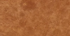 Jasper Daybed -Poly and Bark leather 3 eef6e482 84f8 49d0 a991 c6b73a66761c scaled