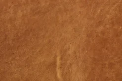 Argan Leather Sofa -Poly and Bark leather 4 8c030b68 8278 4a2c 8380 6fa0d1607488 scaled