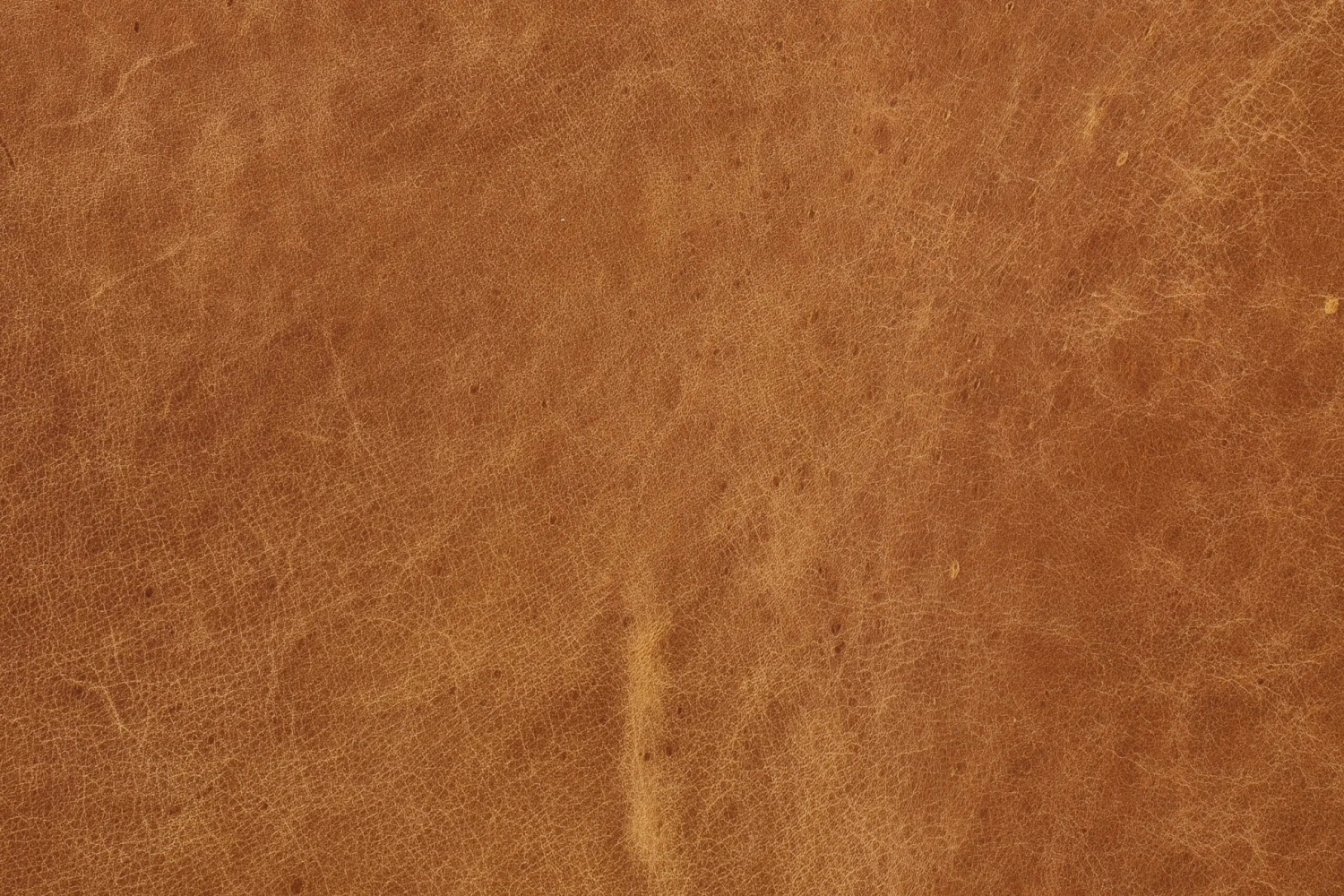 Argan Leather Sofa 20 Argan Leather Sofa - Image 20