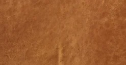 Truro Bed With Leather Cushions -Poly and Bark leather 4 a8b2c884 1d79 463a 99da c53fab89be6c scaled