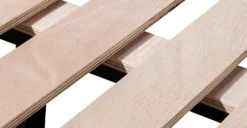 Orbit Bed -Poly and Bark o3q0p DXjqeq0 VM3ynC5WkoUXFiUTqR0HxN 55hNEM scaled