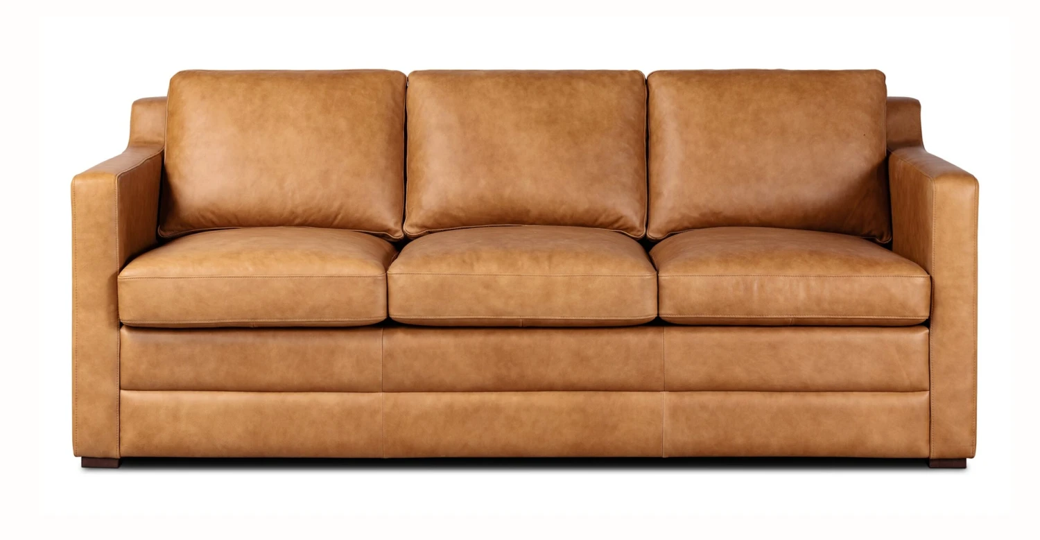 Sorrento Leather Pull-Out Convertible Sleeper Sofa 1 Sorrento Leather Pull-Out Convertible Sleeper Sofa