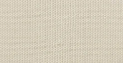 Brindisi Lounge Chair -Poly and Bark pD1Z03vmQxQiHCtXhtpqSSFx0vjMs8icbsY6PVYzNi4 7a1e5405 8421 4588 a4ac 8e08624ed1d4 scaled