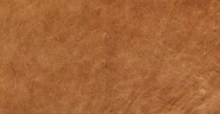 Calle 75" Apartment Sofa -Poly and Bark qPyGrASY14zF617TZ48UOveHx8VouzxIoP1th79DHl4