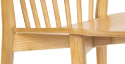 Ligna Dining Chair -Poly and Bark w2JnsgPLCEpR0y4YTBsIPo7 Gw6ewYPGOG 1fXDfYRQ scaled