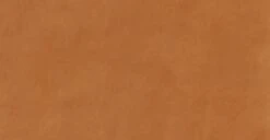 Cadiz Right-facing Sectional Sofa -Poly and Bark wQsfFSbFDoekeGRJecKNmoB7vtSqm 5EDYwM55mFlis