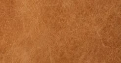 Calle 75" Apartment Sofa -Poly and Bark yTpuxtwNWOuPVzu5zu5 SIYJS2zTHDpZEYi HCkXU5Y