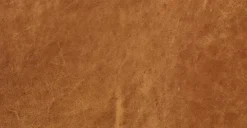 Calle 75" Apartment Sofa 33 Calle 75" Apartment Sofa -Poly and Bark y bFt8 n4UW6LdmmLbtBKGGrHvTw9ig3YMCm9o q8iU scaled